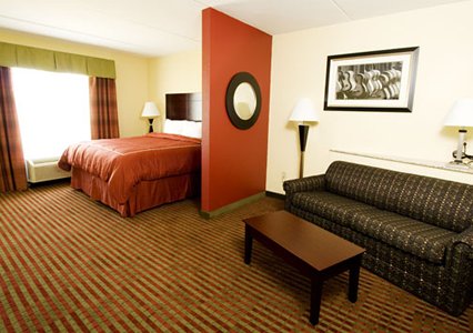 comfort suite sofa bed